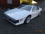 Lotus Esprit Turbo HCI, erst 26470 mls, Unfallfrei,TOP - Lotus Esprit: Coupé