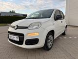 Fiat Panda More - Fiat Panda: More