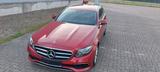 Mercedes-Benz E 200 d T Autom.Jungesterne Garantie bis 08/26 - Mercedes-Benz: 26