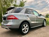 Mercedes-Benz Mercedes Benz ML 350 CDI 4-MATIC sehr gepf... - Mercedes-Benz ML 350 Gebrauchtwagen in Stuttgart