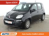 Fiat Panda 1.2 Easy*KLIMA*GARANTIE* - Fiat Panda: Schwarz
