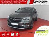 Opel Grandland X Dynamic  1.2 Turbo TÜV bis 07/27 Kma - Opel in Detmold