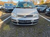 Fiat Panda 1.2 8V Dynamic - Fiat Panda Gebrauchtwagen in Karlsruhe