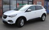 Opel Grandland X Business Edition - Opel Grandland (X) Business-Edition mit Benzin-Antrieb