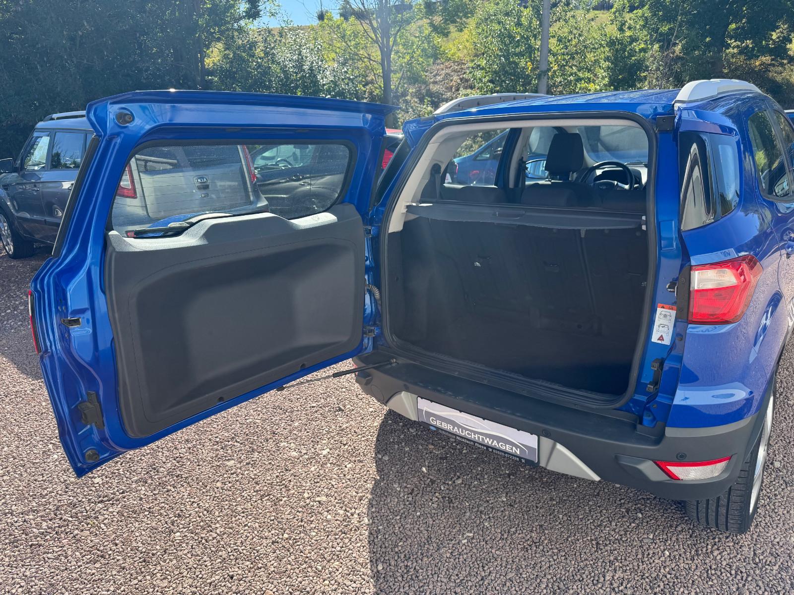 Ford EcoSport 2015 — photo 15