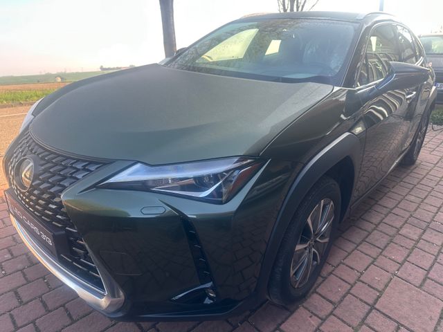 Lexus UX 300 e Executive Bis 400 Kilometer Reichweit