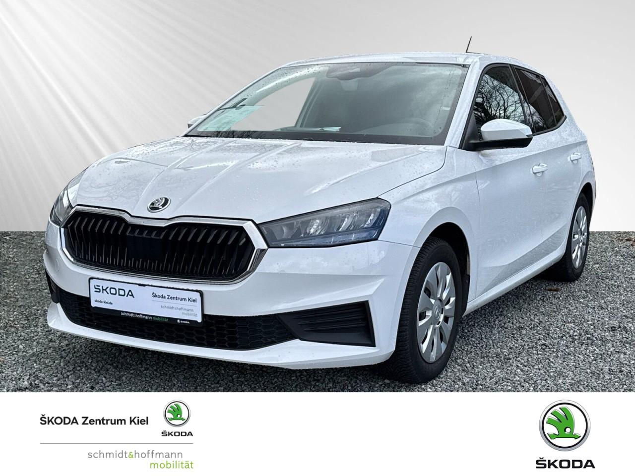 Skoda Fabia 1.0 TSI Ambition OPF (EURO 6d) Klima Navi