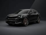 Cupra Formentor VZ Extreme DSG 4Drive+AHK+PANODACH - Cupra Formentor Extreme Gebrauchtwagen