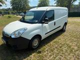 Opel Combo Cargo L2H1 1.3CDTI 70kW  - Opel: Firmenfahrzeug