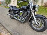 Yamaha XVS 1300 Midnight Star - YAMAHA XVS 1300