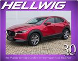 Mazda CX-30 2.0l (150PS) Selection Matrix-LED AHK 1.Ha - gebrauchte Mazda CX-30 aus dem Jahr 2021