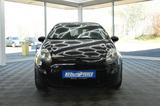 Fiat Punto Evo MyLife Bluetooth Klima ZV TCS 2.Hand - Fiat: Tc