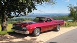 Ford RANCHERO GT Q-CODE CLEVELAND COBRAJET MOTOR - Ford: Rancher