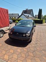 Volkswagen Polo 1.2 Basis Basis - Volkswagen Polo aus 2004