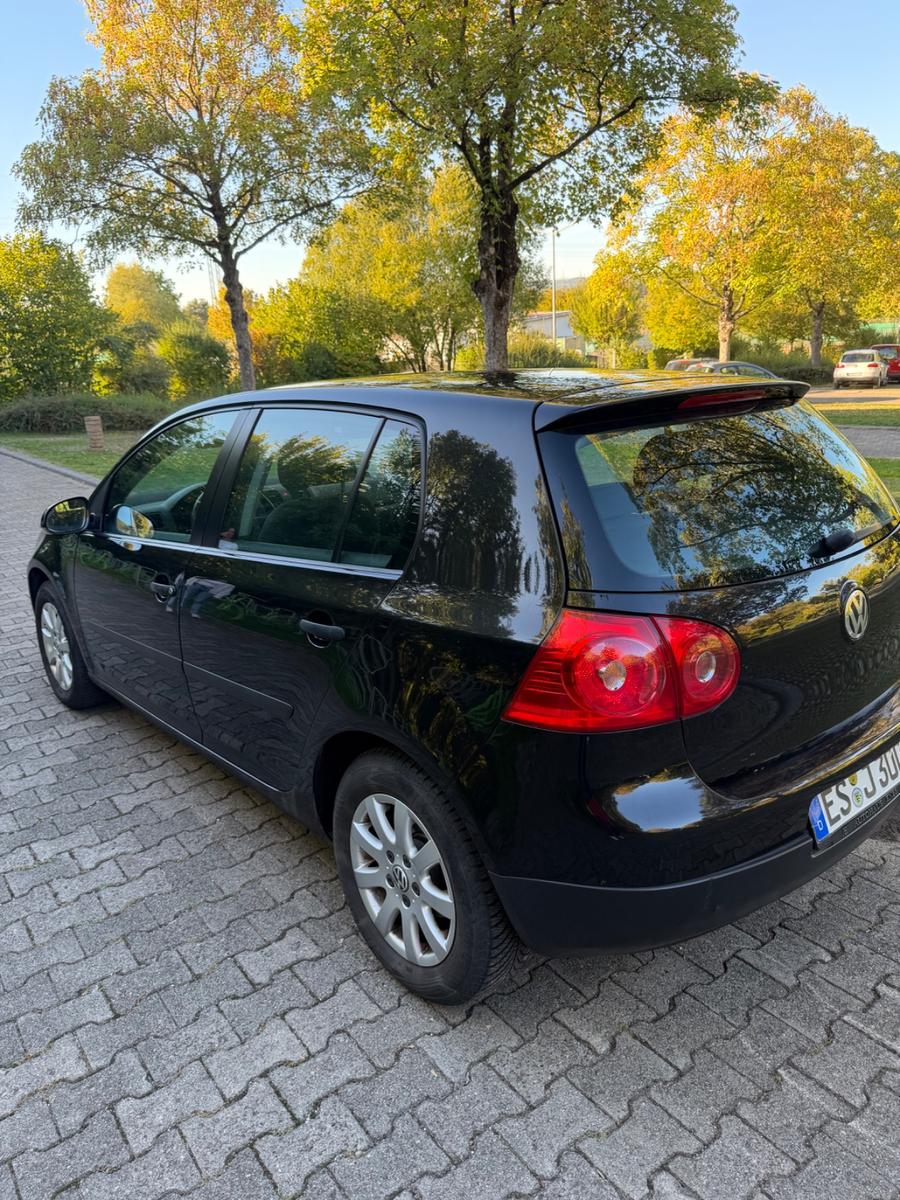 Volkswagen Golf 2004 — engine 1.600 cm³, 116 HP (85kW)