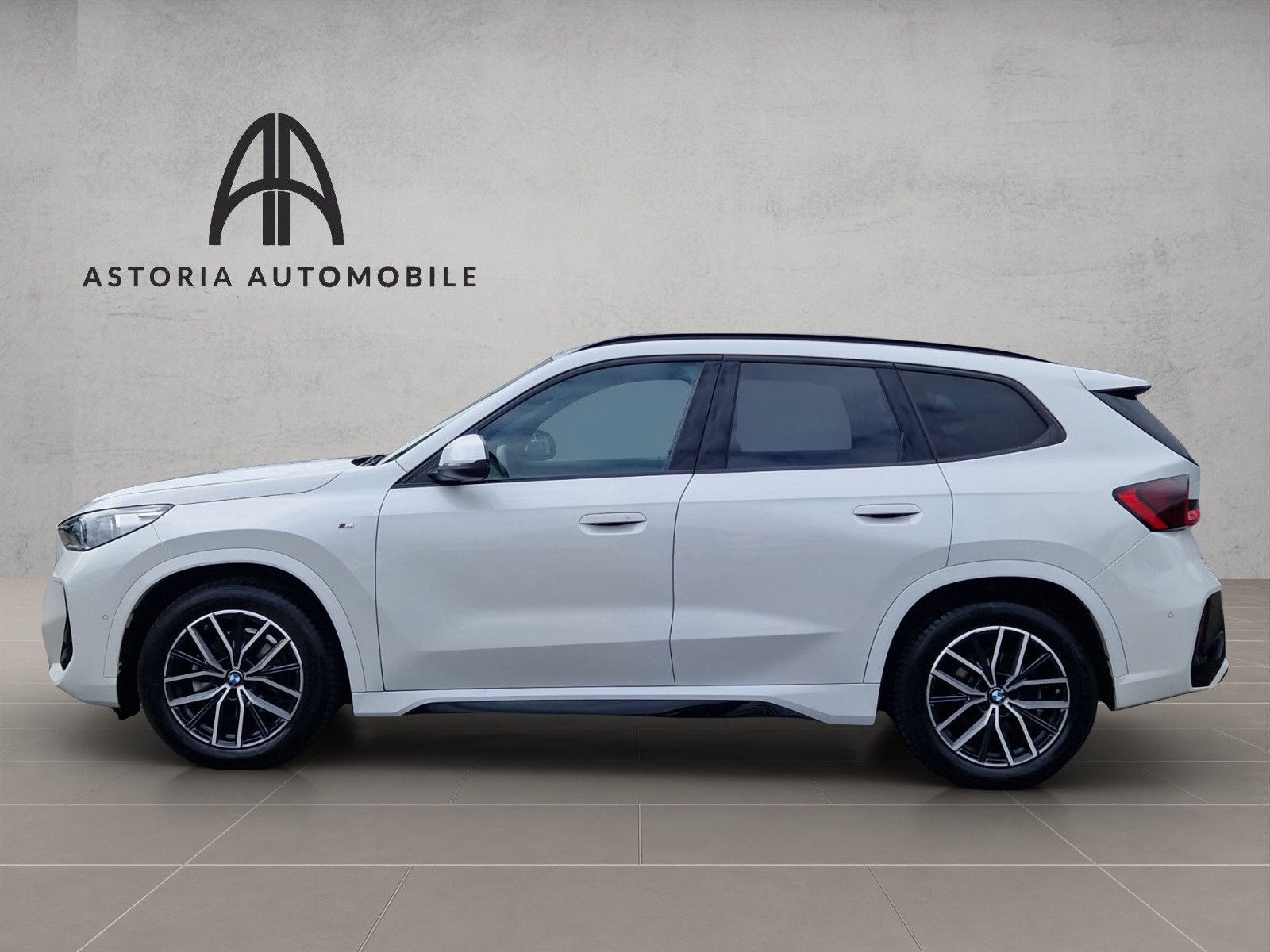 BMW X1 20 d xDrive M-Sport Hexacube DAB Kamera Alcan foto 11
