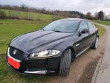Audi Jaguar XF 3.0 Diesel bj. 2015 Euro 5 - Audi A6 mit Diesel-Antrieb: Limousine, 2.5