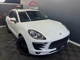 Porsche Macan ACC Totwinkel Spurhalte Panorama - Porsche Macan Gebrauchtwagen in Berlin