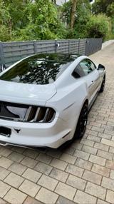 Ford Mustang 5.0 Ti-VCT V8 GT - weiße Ford Mustang