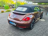 Volkswagen Beetle 1.4 TSI BMT ALLSTAR Cabriolet ALLSTAR - VW Beetle von privat