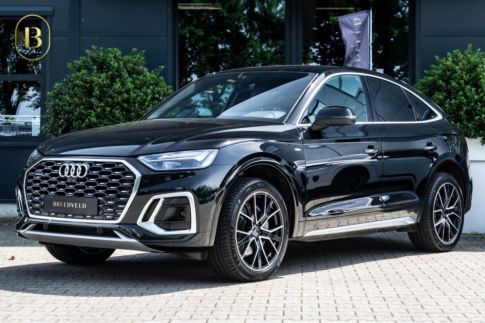 Audi Q5 Sportback 50 TFSI e S-Line,Trekhaak,Achteruit