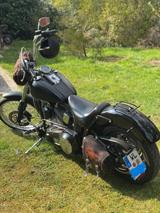 Harley-Davidson Softail Standart Twin Cam - HARLEY-DAVIDSON 2003 SOFTAIL