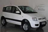 Fiat FIAT - Panda - 1.3 MJT 16V DPF 4x4 Climbing - Fiat Panda: Allradantrieb, Climbing