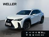 Lexus UX 300h F SPORT Design *LED*ACC*Kamera*SHZ*PDC* - Lexus aus 2024