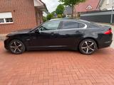 Jaguar XF 3.0 V6 Diesel Edition Edition - Jaguar XF Edition mit Diesel-Antrieb