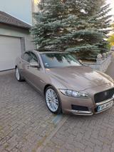 Jaguar XF 30d 300PS Portfolio Automatik Portfolio - Jaguar XF: Portfolio