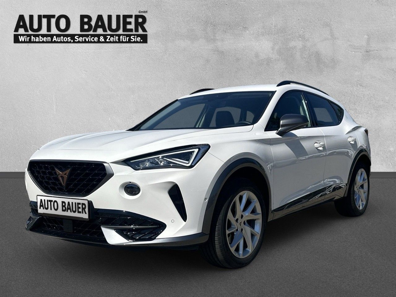 Fahrzeugabbildung CUPRA Formentor 2.0 TDI 6-Gang-Schaltgetriebe