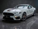 Ford Mustang Mach1 RECARO |Frontkamera + Y-Design