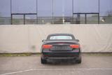 Audi A5 Cabriolet 2.0 TFSI - LEATHER - AUTOMATIC - : Automatic