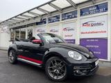 Volkswagen Beetle Cabriolet Allstar BMT #Aut.#*Leder*Navi* - VW Beetle Gebrauchtwagen in Frankfurt