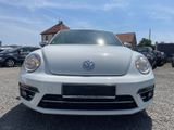 Volkswagen Beetle Design BMT/Start-Stopp - Volkswagen Beetle aus 2018
