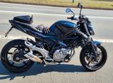 Suzuki Gladius SFV 650 - Offers