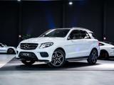 Mercedes-Benz GLE 250 250d 4-Matic - AHK - AMG line - Night pa - Mercedes-Benz GLE 250