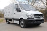 Mercedes-Benz Sprinter 310cdi ColdCar 3+3Türen Ice-33°C Euro 6 - Angebote entsprechen deinen Suchkriterien