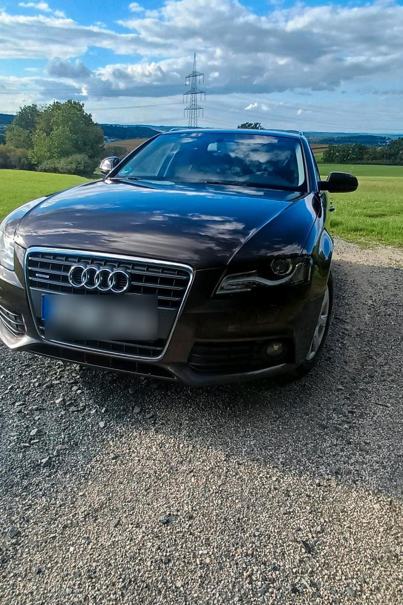 Audi Quattro 2011 — rear view