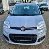 Fiat Panda Cool-klima - Fiat Panda Gebrauchtwagen in Bremen