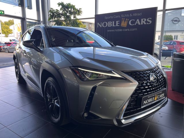 Lexus UX 250h Launch Edition LED AHK NAV RFK SHZ ALU