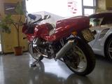 Moto Guzzi Daytona 1.000 - MOTO GUZZI DAYTONA