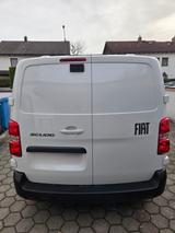 Fiat Scudo - Fiat Scudo in München
