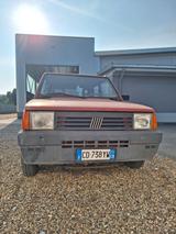 Fiat Panda 1100 i.e. cat Young - Fiat Panda: Young
