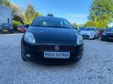 Fiat Punto 1.4 8V Speed/klima/Hu Neue - Fiat Punto in Bonn