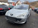 Peugeot 307 Grand Filou Cool 110 - Peugeot 307: Grand Filou