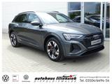 Audi Q8 55 e-tron quattro 300KW S line *LED*ACC*PDC*
