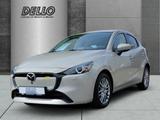 Mazda 2 Exclusive-Line 1.5 HUD AD LED Blendfreies Fern - Mazda 2 aus 2025