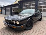 Jaguar XJ Executive 3.2 ZV Leder Klima - Jaguar XJ: 3.2