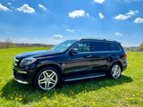 Mercedes-Benz GL 500 4Matic Bremsen Reifen Service Neu! AMG 2x - Mercedes-Benz GL 500 mit Benzin-Antrieb